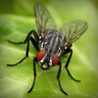 /album/www-d-beres-com/photolia-a01-jpg/