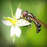 /album/www-d-beres-com/photolia-a02-jpg/