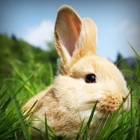 /album/www-d-beres-com/photolia-a03-jpg/