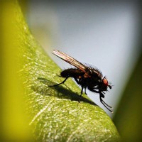 /album/www-d-beres-com/photolia-a04-jpg/