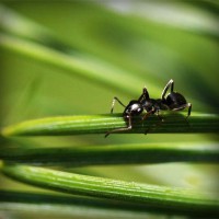 /album/www-d-beres-com/photolia-a05-jpg/