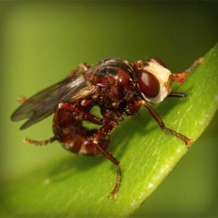 /album/www-d-beres-com/photolia-a06-jpg/