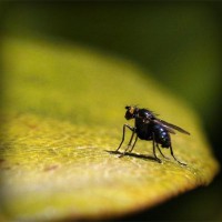 /album/www-d-beres-com/photolia-a07-jpg/