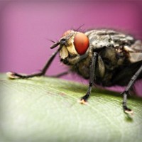 /album/www-d-beres-com/photolia-a08-jpg/